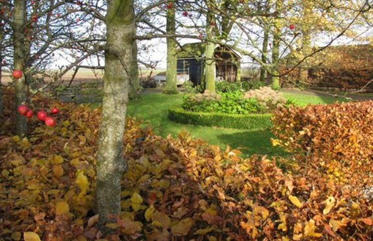 Natuurhuisje in Wapserveen