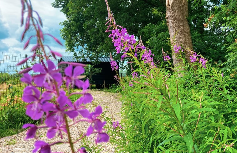 Natuurhuisje in Ruinen