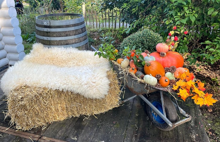 Natuurhuisje in Winterswijk