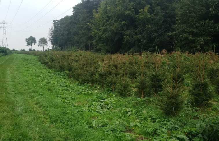 Natuurhuisje in Luttelgeest