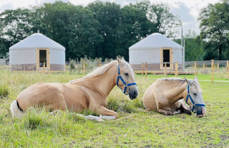 Natuurhuisje in Ledeacker