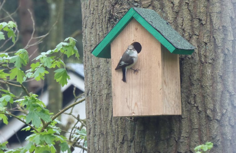 Natuurhuisje in Norg