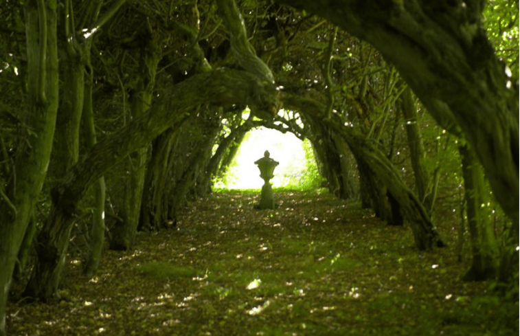 Natuurhuisje in Driebergen