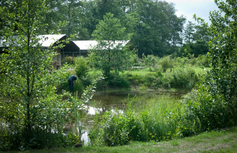 Natuurhuisje in Emst