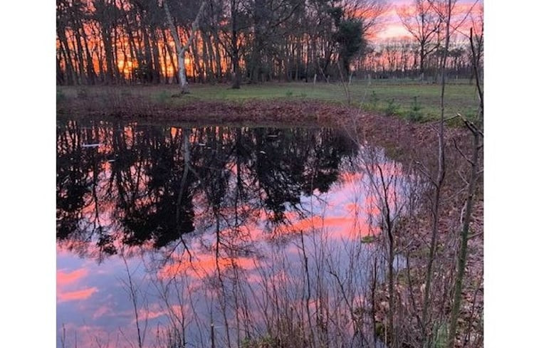 Natuurhuisje in Diepenheim