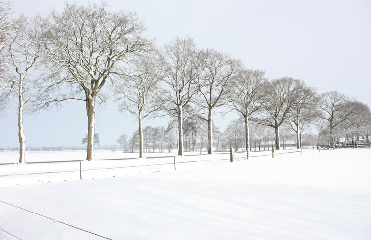 Natuurhuisje in Veeningen