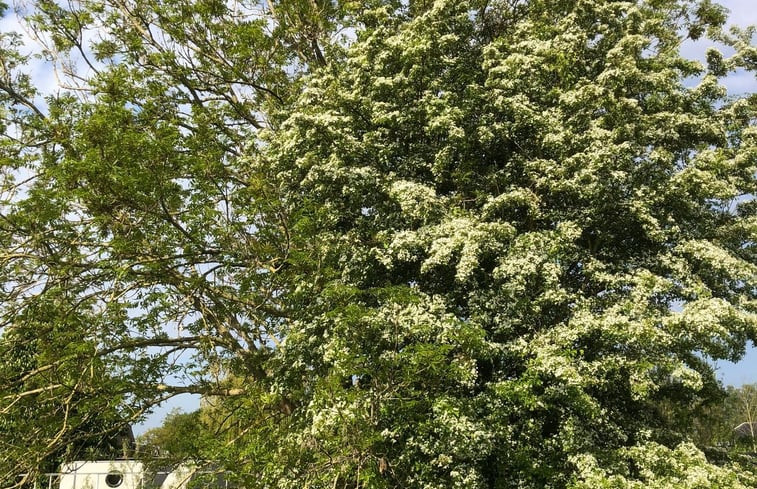 Natuurhuisje in De Zande