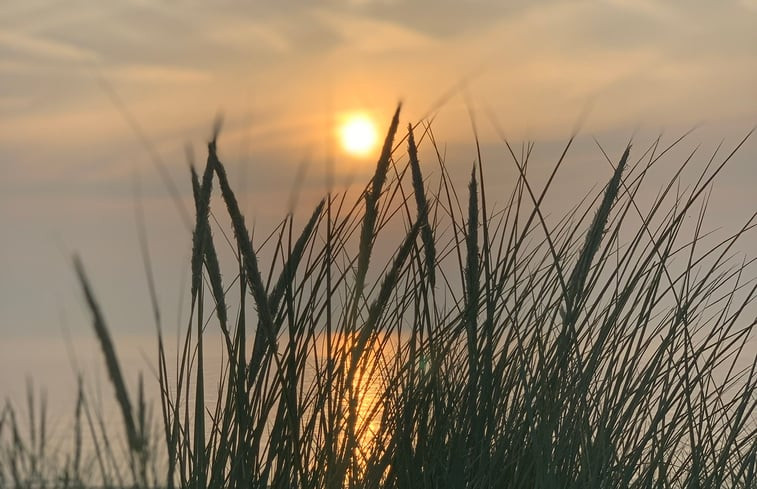 Natuurhuisje in Wassenaar