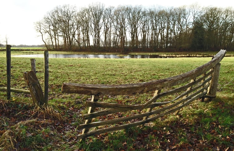 Natuurhuisje in Harfsen