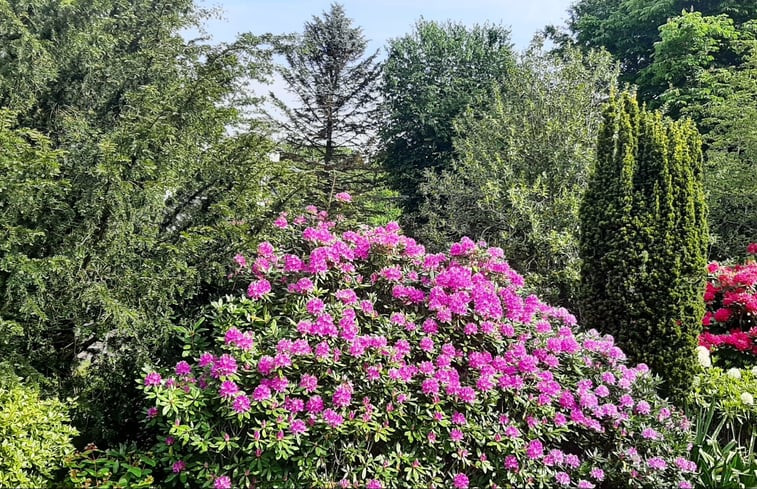 Natuurhuisje in Zorgvlied