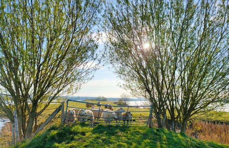 Natuurhuisje in Eck en Wiel