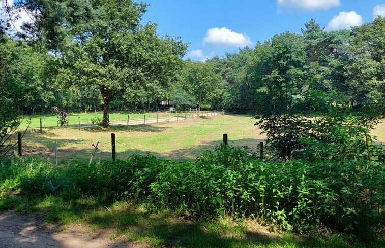 Natuurhuisje in Dalfsen