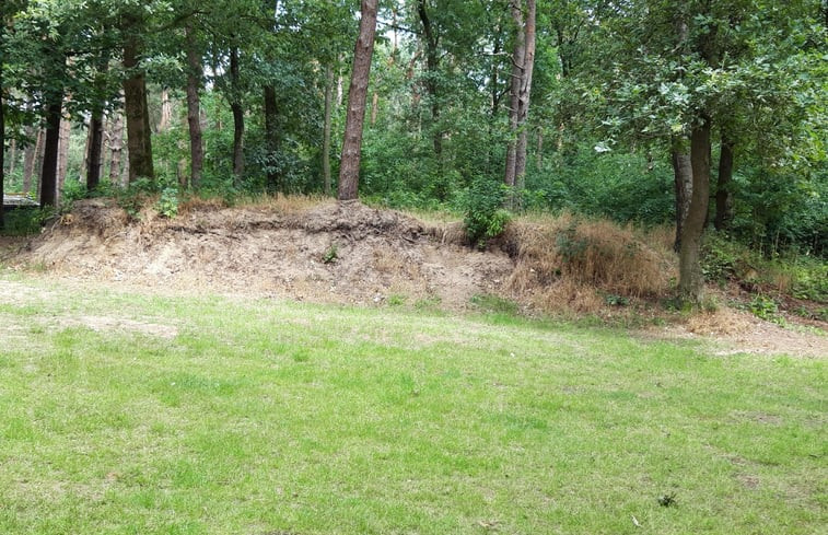 Natuurhuisje in Ommen