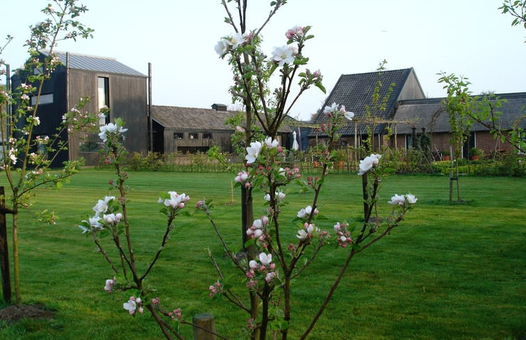 Natuurhuisje in Gytsjerk