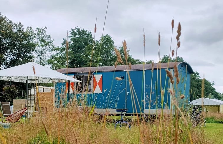 Natuurhuisje in Haulerwijk