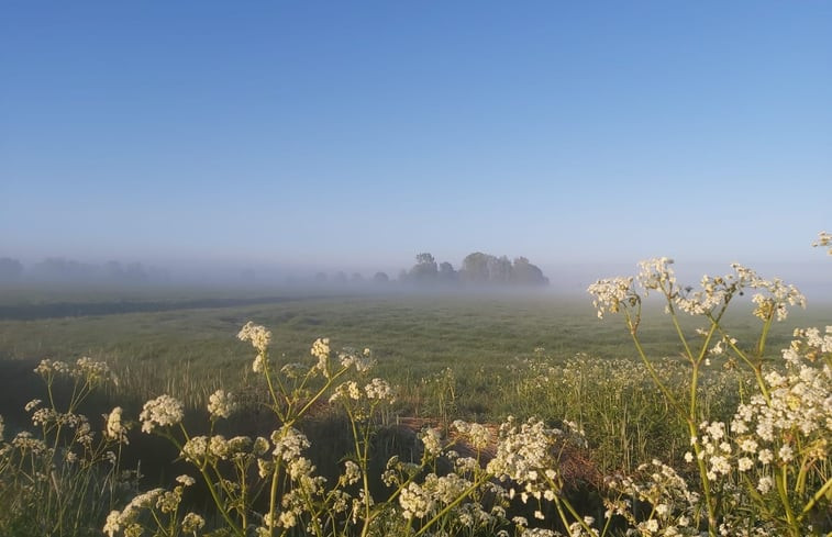 Natuurhuisje in Winsum