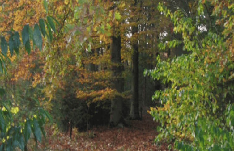 Natuurhuisje in Wenum Wiesel