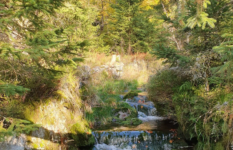 Natuurhuisje in Neureichenau