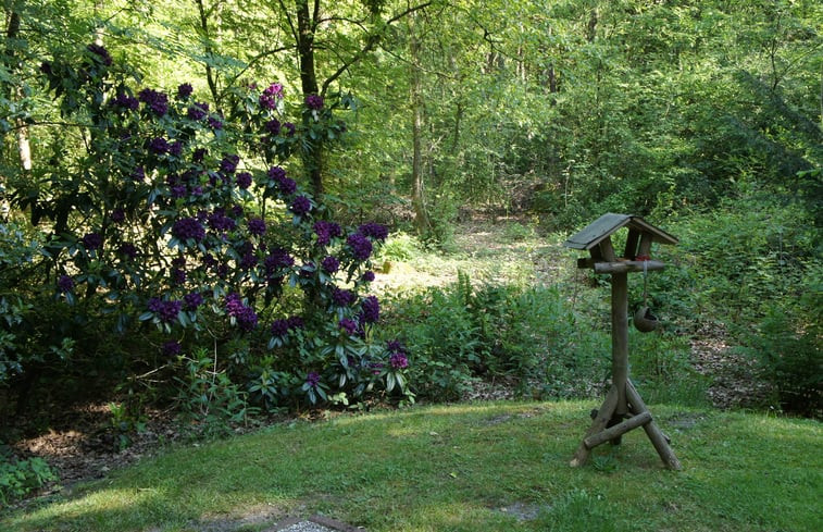 Natuurhuisje in Ruinen