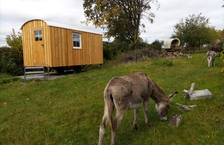 Natuurhuisje in Baden-Württemberg - Fichtenau bei Dinkelsbühl Hohenlohe Franken