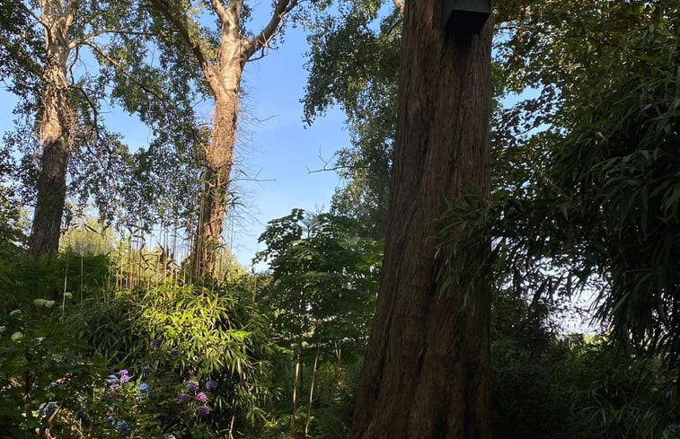 Natuurhuisje in Haren