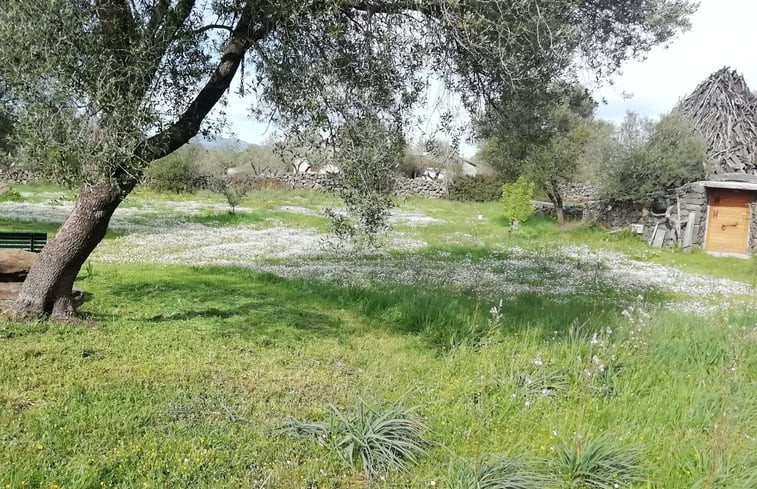 Natuurhuisje in Dorgali