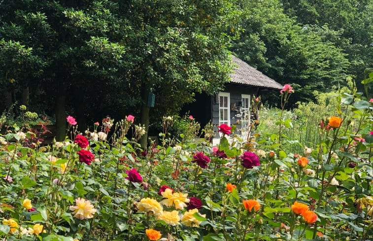 Natuurhuisje in Loon op Zand