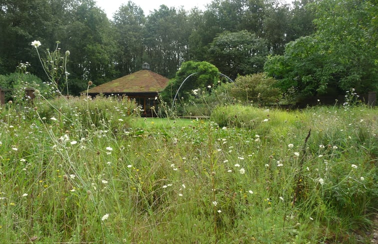 Natuurhuisje in Appelscha