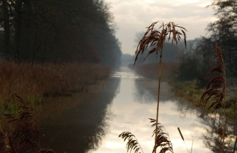 Natuurhuisje in Mill