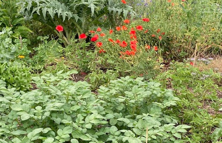 Natuurhuisje in Woudenberg