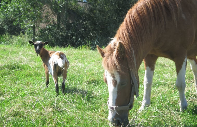 Natuurhuisje in IJsselstein