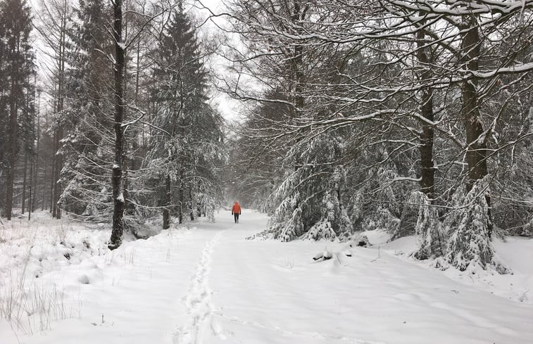 Natuurhuisje in De Rips