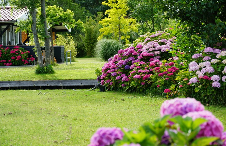 Natuurhuisje in Leimuiden