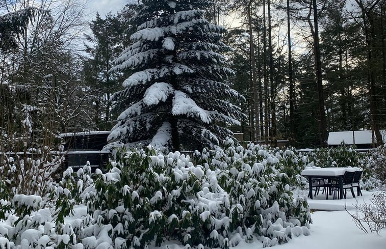 Natuurhuisje in Holten