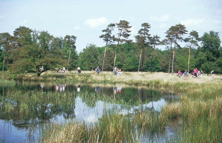 Natuurhuisje in Ansen