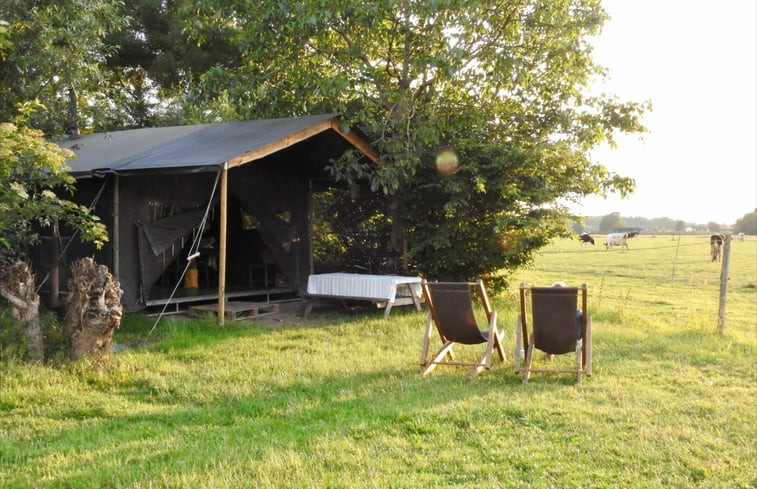 Natuurhuisje in Ophemert