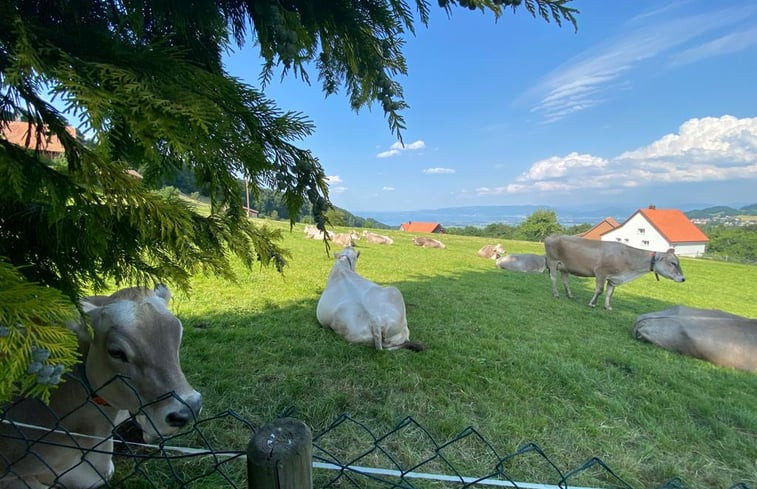 Natuurhuisje in Grub - Sankt Gallen