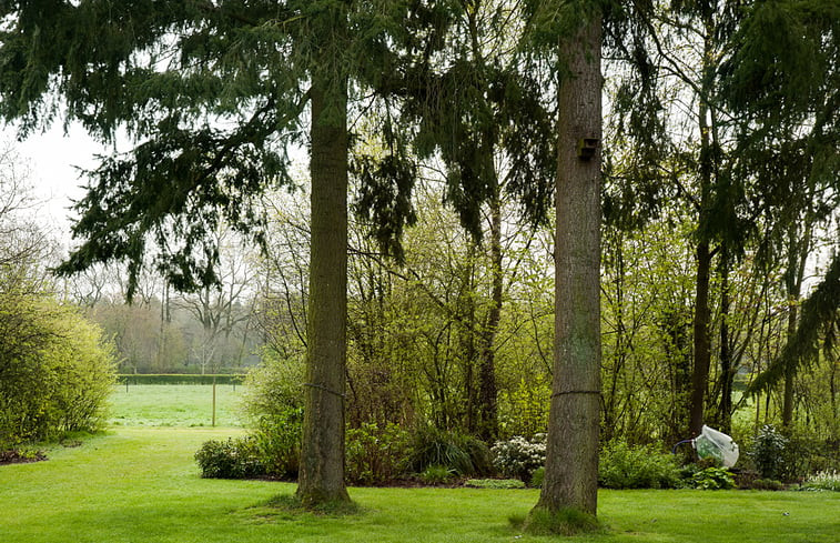 Natuurhuisje in Ter Apel