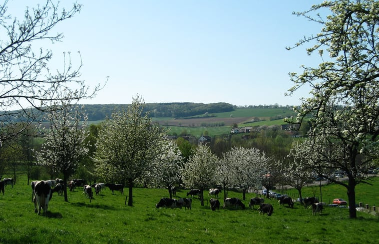 Natuurhuisje in Vijlen