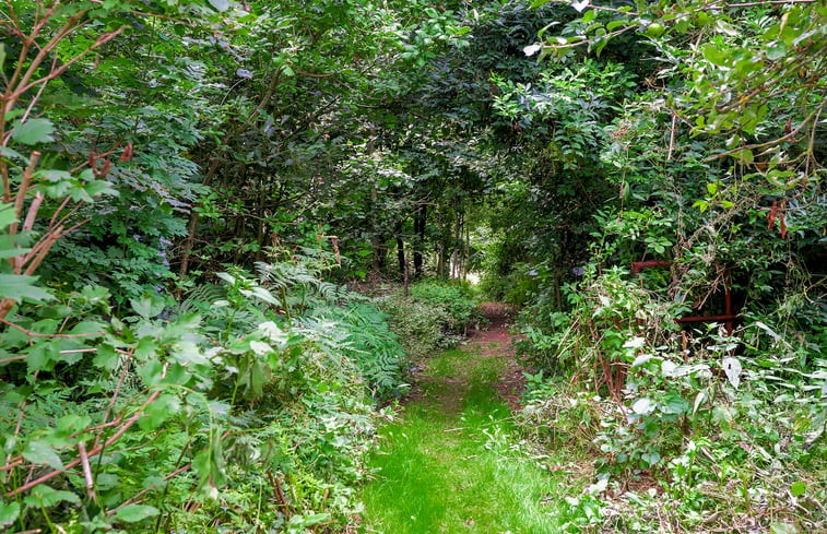 Natuurhuisje in Dalerveen