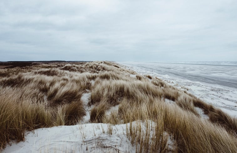 Natuurhuisje in Nes