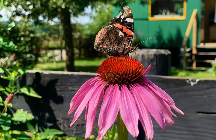 Natuurhuisje in Boxtel