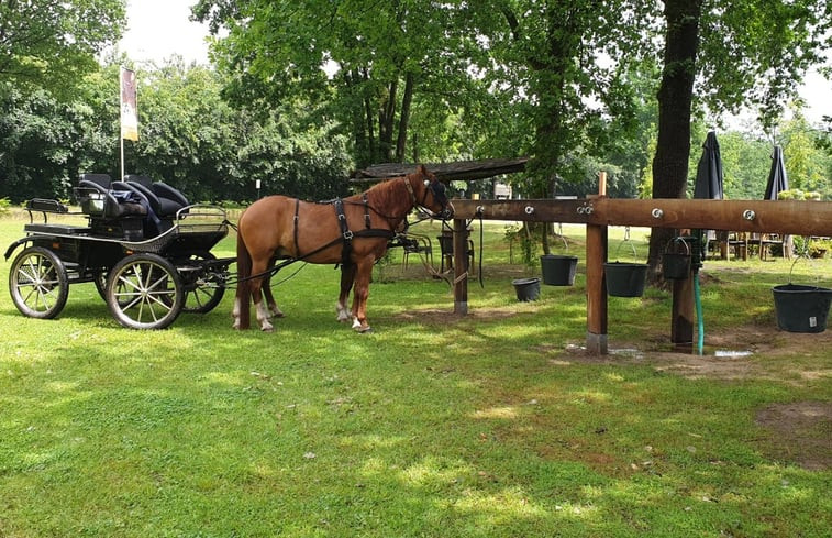 Natuurhuisje in Bergeijk