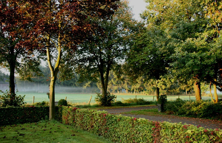 Natuurhuisje in Budel