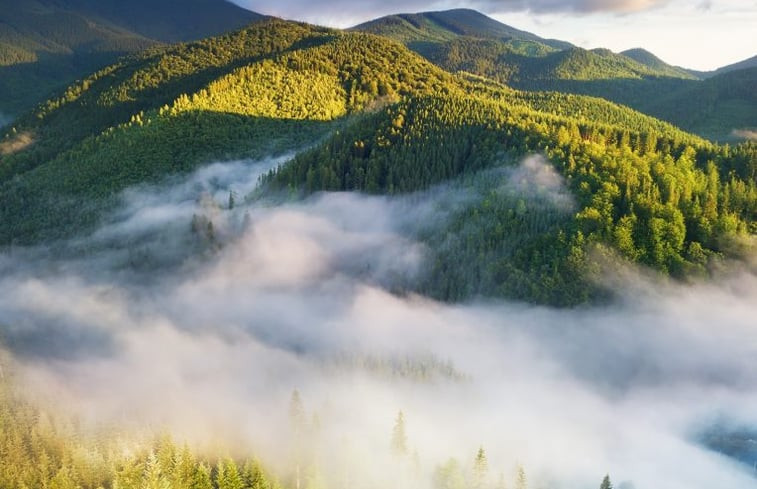 Natuurhuisje in Schwaibach