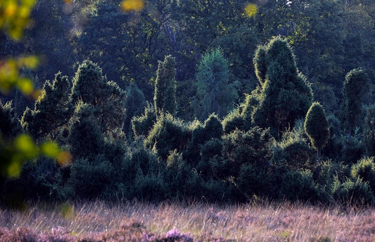 Natuurhuisje in Enschede