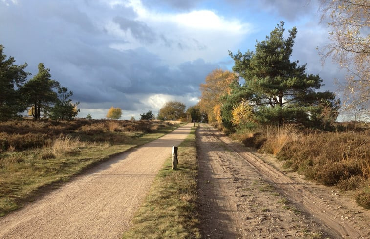 Natuurhuisje in Holten