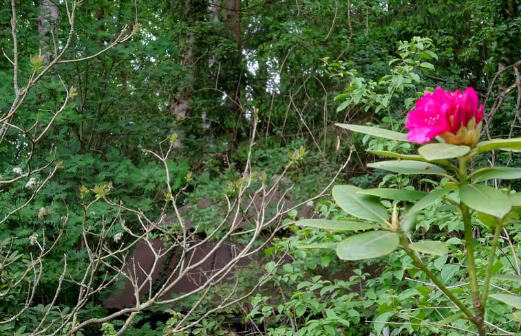 Natuurhuisje in Hulshorst