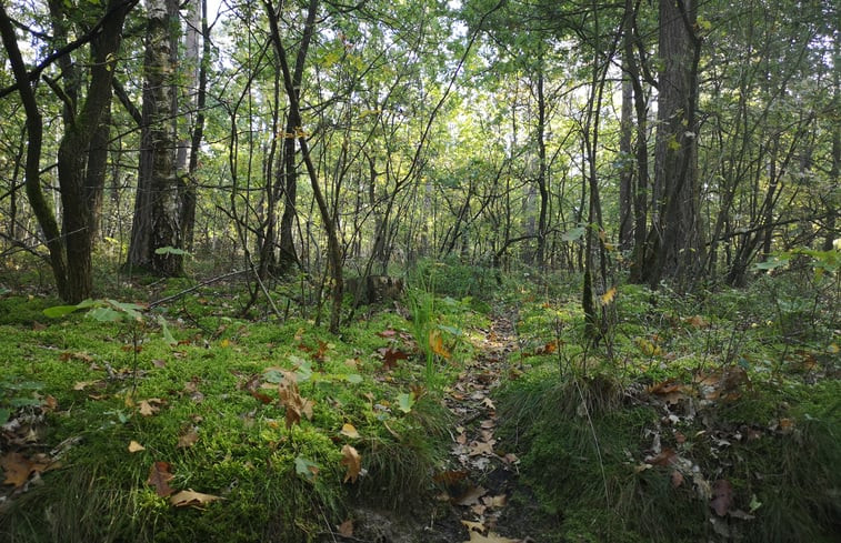 Natuurhuisje in Opoeteren