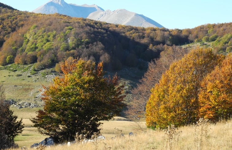 Natuurhuisje in Civitella Casanova